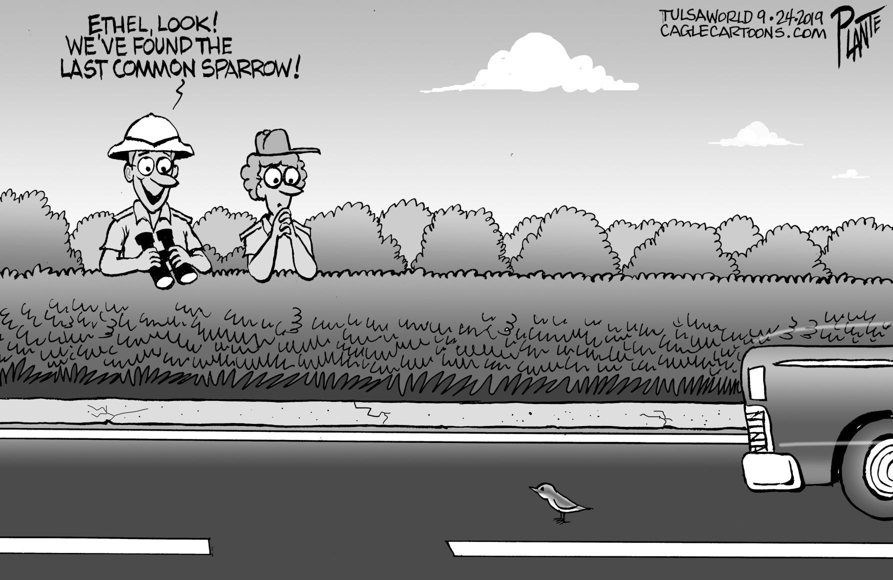 Bruce Plante Cartoon: Where are the birds?